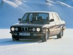 BMW M5 1985 года (WW)
